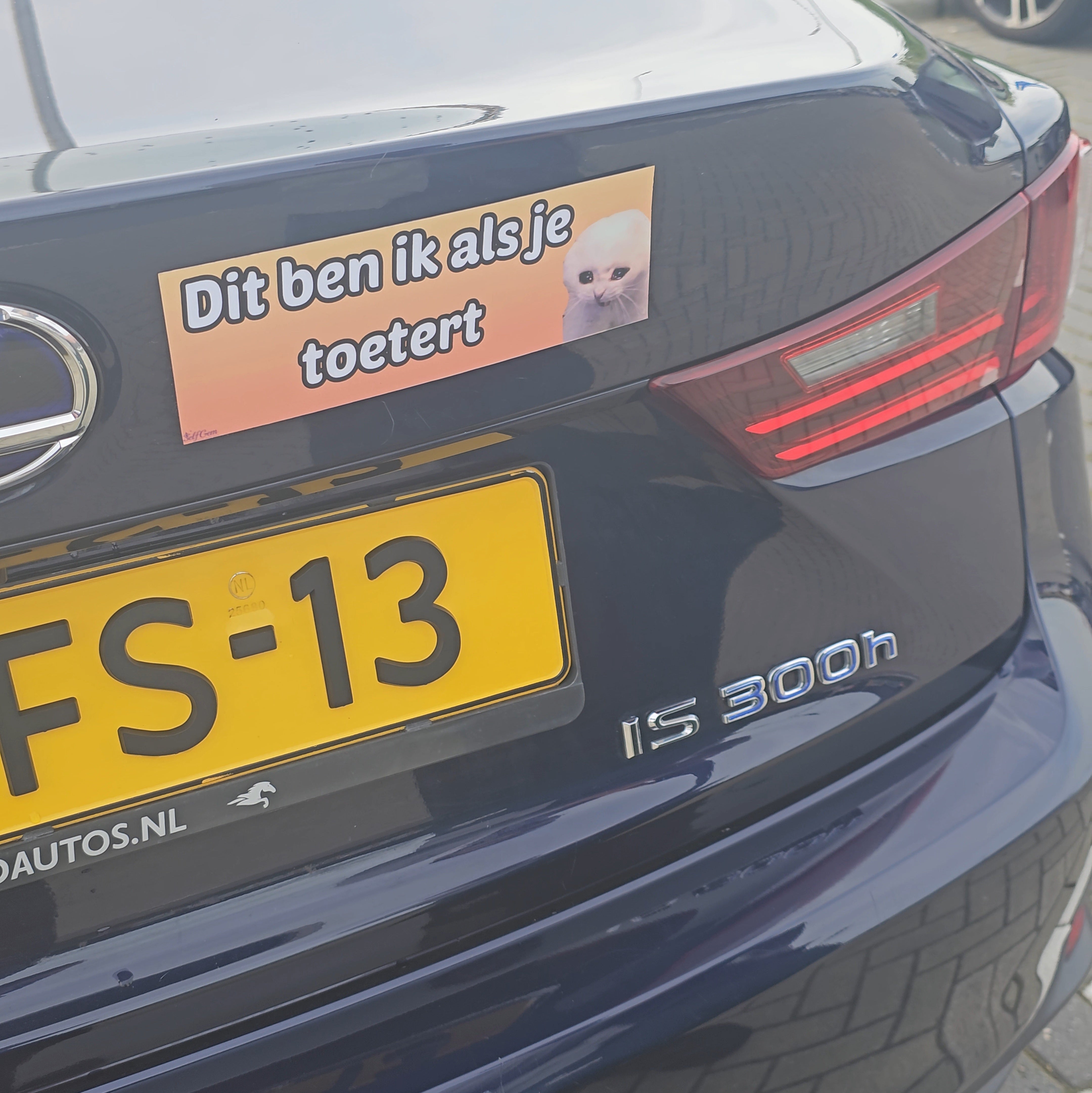 Magneet Auto Bumpersticker - Dit ben ik als je toetert