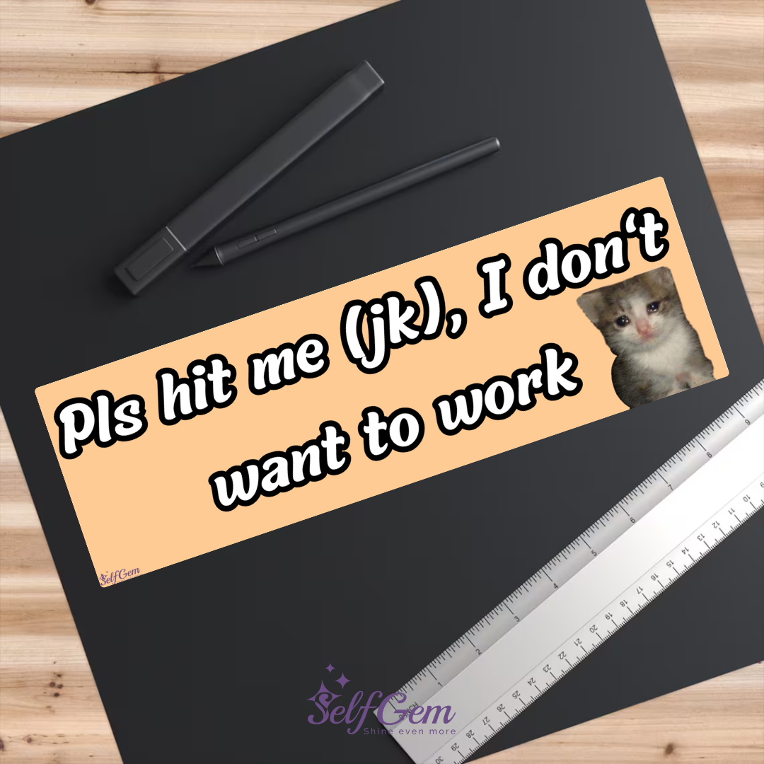 Magneet Auto Bumpersticker - Pls hit me (jk), I don't want to work